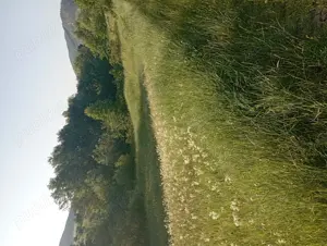 Vânzare teren intravilan - imagine 2