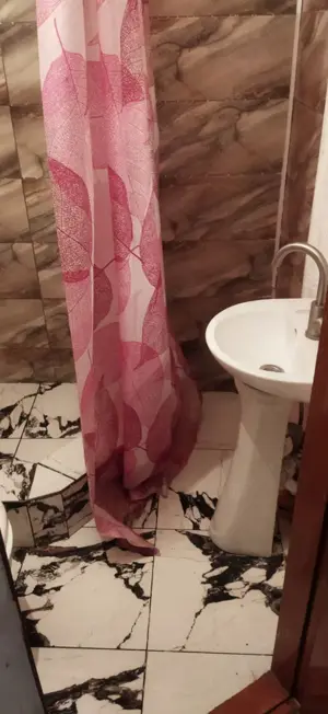 inchiriere garsoniera in zona Dristor - imagine 6