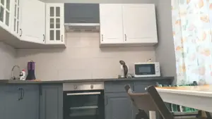 Inchiriere apartament cu 2 camere in zona Militari - imagine 4