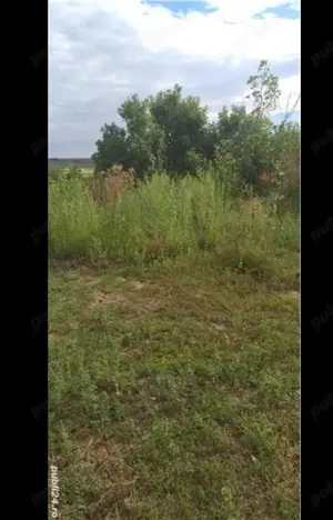 Teren intravilan Husasau de Tinca Bihor  - imagine 10