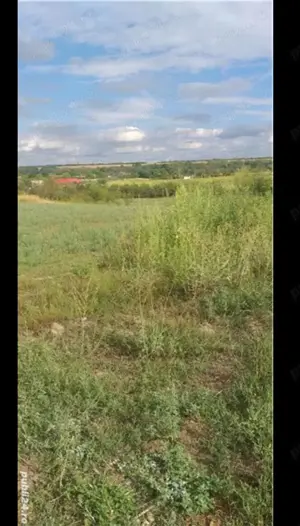 Teren intravilan Husasau de Tinca Bihor  - imagine 9