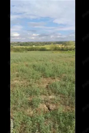 Teren intravilan Husasau de Tinca Bihor  - imagine 7