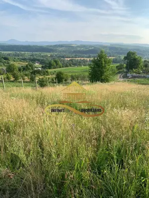 Teren EXTRAVILAN de vanzare BOSOTENI / TESCANI 7100 mp - imagine 2