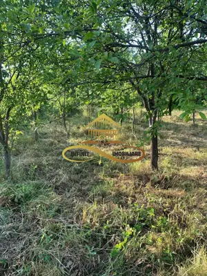 Teren EXTRAVILAN de vanzare BOSOTENI / TESCANI 7100 mp - imagine 6