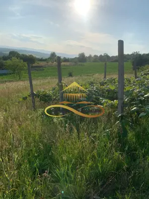 Teren EXTRAVILAN de vanzare BOSOTENI / TESCANI 7100 mp