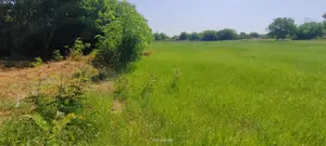 Teren intravilan Lovrin de vânzare  - imagine 6 Teren intravilan Lovrin de vânzare  - imagine 6