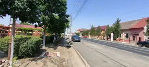 Teren intravilan Lovrin de vânzare  - imagine 7 Teren intravilan Lovrin de vânzare  - imagine 7