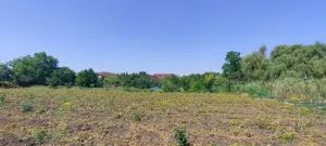 Teren intravilan Lovrin de vânzare  - imagine 10 Teren intravilan Lovrin de vânzare  - imagine 10