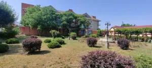 Teren intravilan Lovrin de vânzare  - imagine 8 Teren intravilan Lovrin de vânzare  - imagine 8