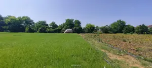 Teren intravilan Lovrin de vânzare  - imagine 12 Teren intravilan Lovrin de vânzare  - imagine 12