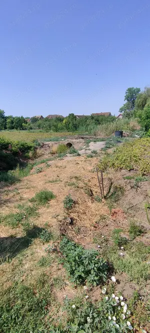 Teren intravilan Lovrin de vânzare  - imagine 16 Teren intravilan Lovrin de vânzare  - imagine 16