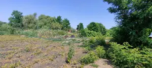 Teren intravilan Lovrin de vânzare  - imagine 11 Teren intravilan Lovrin de vânzare  - imagine 11