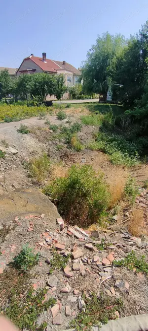 Teren intravilan Lovrin de vânzare  - imagine 14 Teren intravilan Lovrin de vânzare  - imagine 14