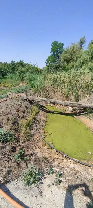 Teren intravilan Lovrin de vânzare  - imagine 15 Teren intravilan Lovrin de vânzare  - imagine 15