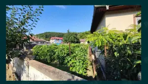 Teren și casă de vânzare în Țicleni, sat Tunși - imagine 2