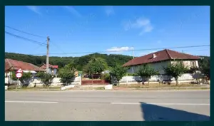 Teren și casă de vânzare în Țicleni, sat Tunși - imagine 3