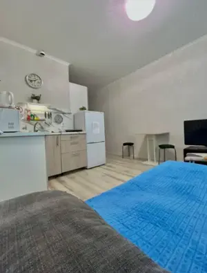 Ofer spre inchiriere garsoniera in zona Grand Arena - imagine 2