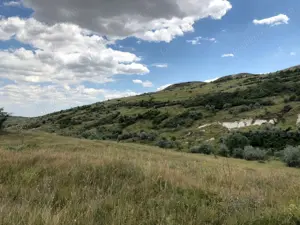 Vanzare 50 Ha pasune, judetul Prahova - imagine 10