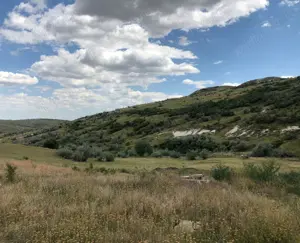 Vanzare 50 Ha pasune, judetul Prahova - imagine 11