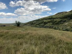 Vanzare 50 Ha pasune, judetul Prahova - imagine 9