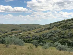 Vanzare 50 Ha pasune, judetul Prahova - imagine 3