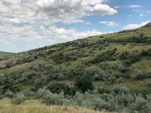 Vanzare 50 Ha pasune, judetul Prahova - imagine 15