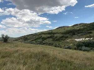 Vanzare 50 Ha pasune, judetul Prahova - imagine 12