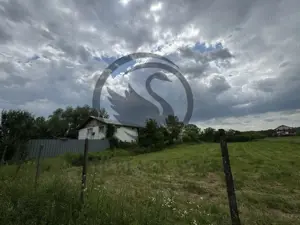 Hala de vanzare | 1.100mp I Boldesti-Scaieni - Randament anual 10% - imagine 15