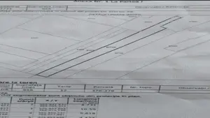 Teren Topoloveni centru, lângă Agromec, pretabil solar, agricultură, 11 euro