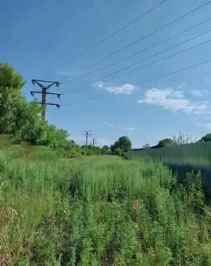 Teren Topoloveni centru, lângă Agromec, pretabil solar, agricultură, 11 euro   - imagine 6