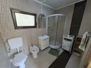 Str. Valea Rosie   proprietate compusa din 2 imobile, casa P+M si una pe parter - imagine 11