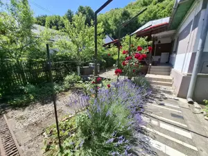 Str. Valea Rosie   proprietate compusa din 2 imobile, casa P+M si una pe parter - imagine 12