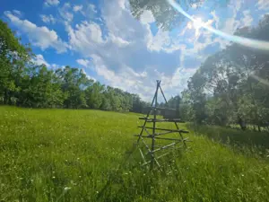 TEREN DE VANZARE APROAPE DE PADURE  - imagine 2