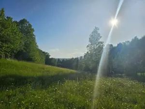 TEREN DE VANZARE APROAPE DE PADURE  - imagine 5