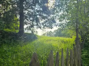 TEREN DE VANZARE APROAPE DE PADURE  - imagine 4