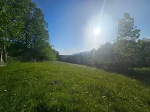 TEREN DE VANZARE APROAPE DE PADURE  - imagine 11