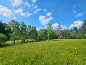 TEREN DE VANZARE APROAPE DE PADURE  - imagine 8