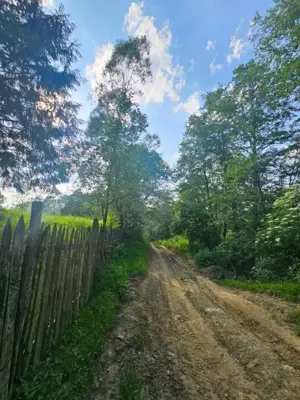 TEREN DE VANZARE APROAPE DE PADURE  - imagine 6