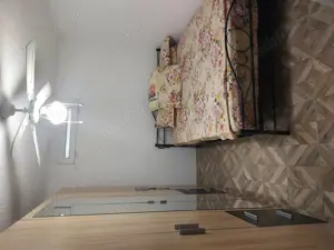 Propietar vînd casă la curte 250 mp  - imagine 9