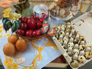 Vand Oua de prepelita Polara Gigant - imagine 4