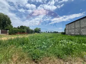 Teren intravilan  Mandresti-Munteni / Strada Dumbrava - imagine 3