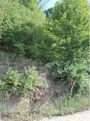 Teren extravilan Sotanga, ID: R2590381 - imagine 6