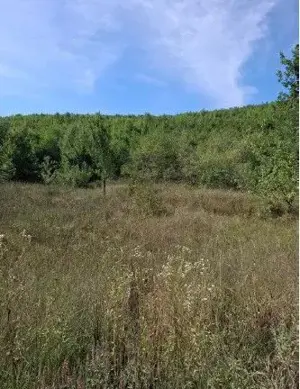 Teren extravilan Sotanga, ID: R2590381