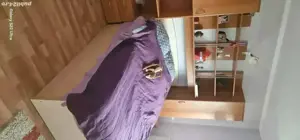 Vand vila individuala Timisoara-Calea Aradului  - imagine 13