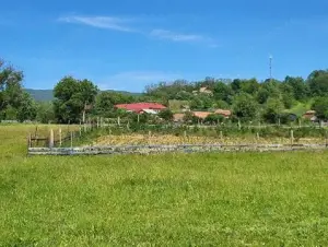 Teren extravilan arabil Tisau, ID: R2590475