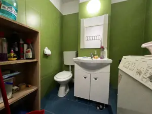 Apartament 2 camere, parter, semidecomandat, renovat in zona Sagului - imagine 8