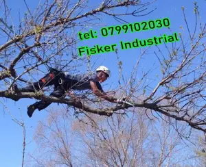 Taiere copac, pom cu risc de rupere cadere, inalti langa case, tevi de gaze, uscati, orice - imagine 5