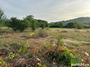 Vand teren in Oradea, Podgoria nr. 29