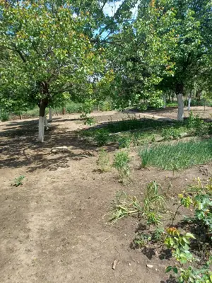 Casa Buzau - zona linistita - imagine 6