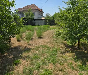 Vand teren intravilan in centrul Orasului  Buzias strada Republicii cu toate utilitatile - imagine 9
